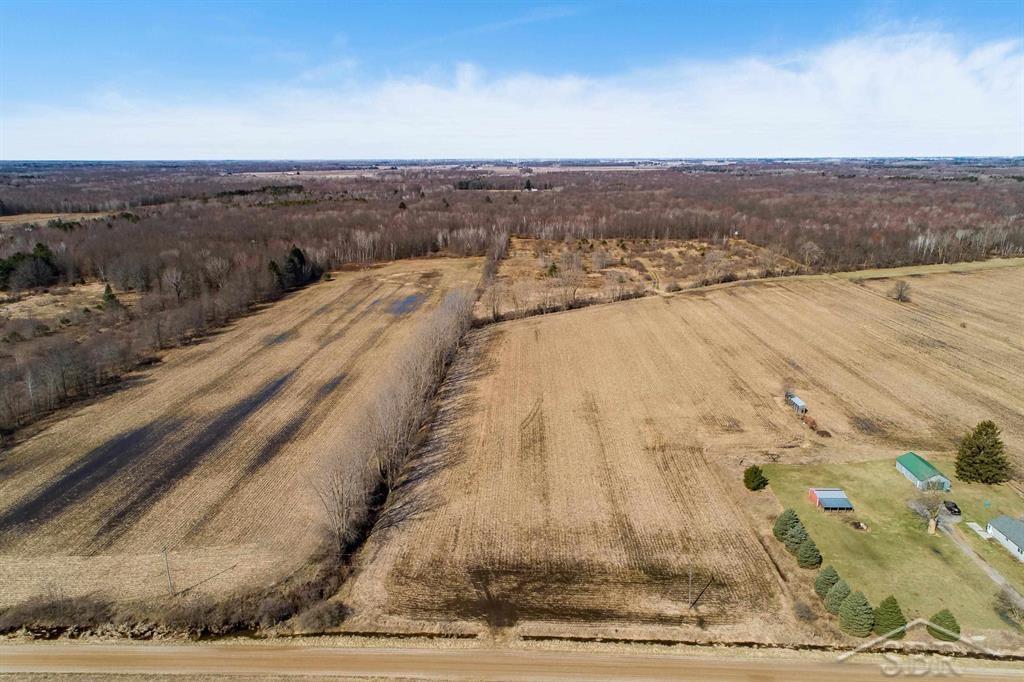 Vl South Iva Road St. Charles, MI 48655 - Photo 7 of 17