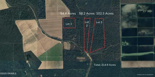 $163,200 | Tbd Tbd Swayze Lake Road, Unit 1, Palmetto, LA 71358