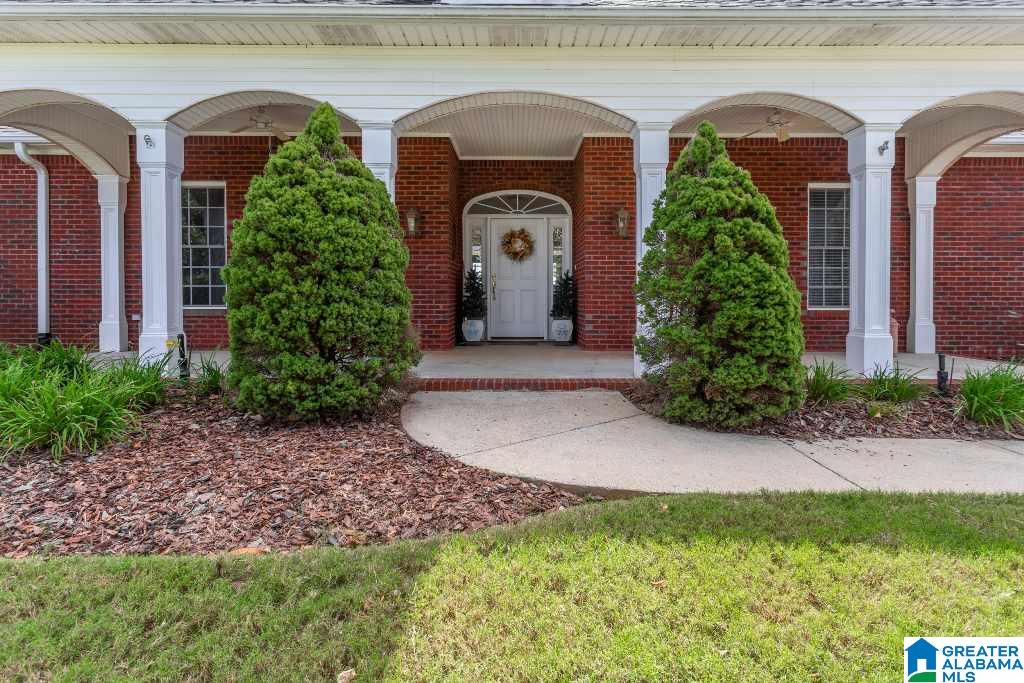 205 Viewpoint Circle Pell City, AL 35128 - Photo 5 of 45
