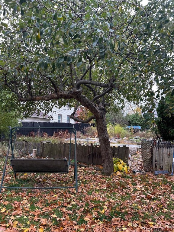 282 Winchester Street Rochester, NY 14615 - Photo 20 of 26 Apple
Tree!