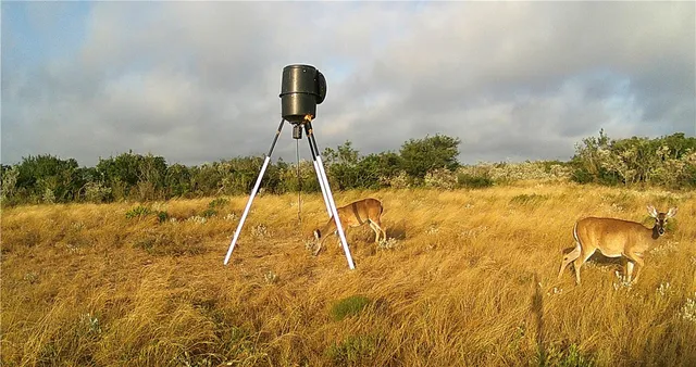 a view of a room with a table chair and a fire pit