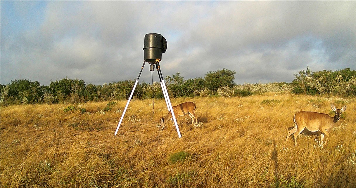 44 Ranch South Highway South San Diego, TX 78384 - Photo 1 of 10