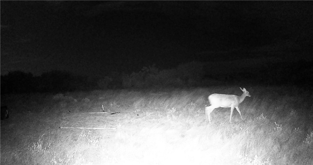 44 Ranch South Highway South San Diego, TX 78384 - Photo 2 of 10 a view of a room with a table chair and a fire pit
