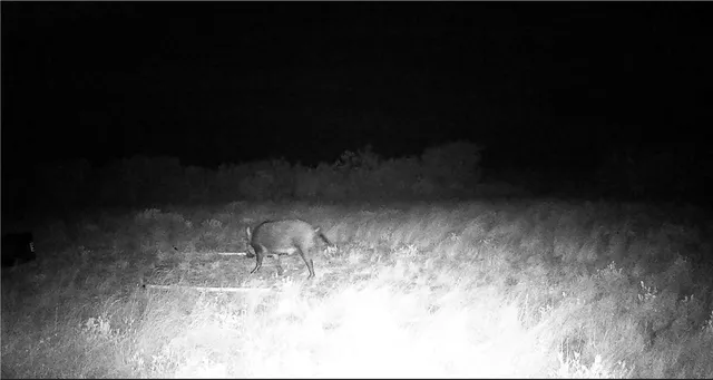 a view of room with a small space