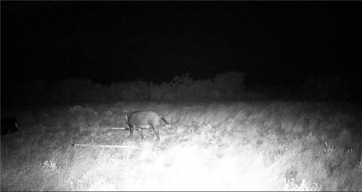 44 Ranch South Highway South San Diego, TX 78384 - Photo 4 of 10 a water heater on the wall