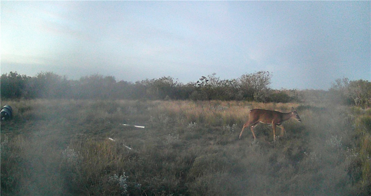 44 Ranch South Highway South San Diego, TX 78384 - Photo 5 of 10 a view of a lake with a city