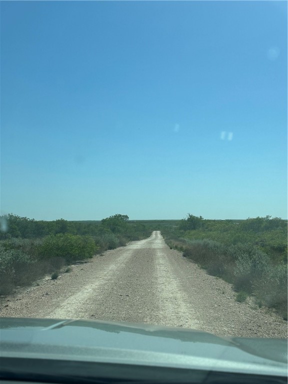 44 Ranch South Highway South San Diego, TX 78384 - Photo 7 of 10 a view of a yard with an outdoor space