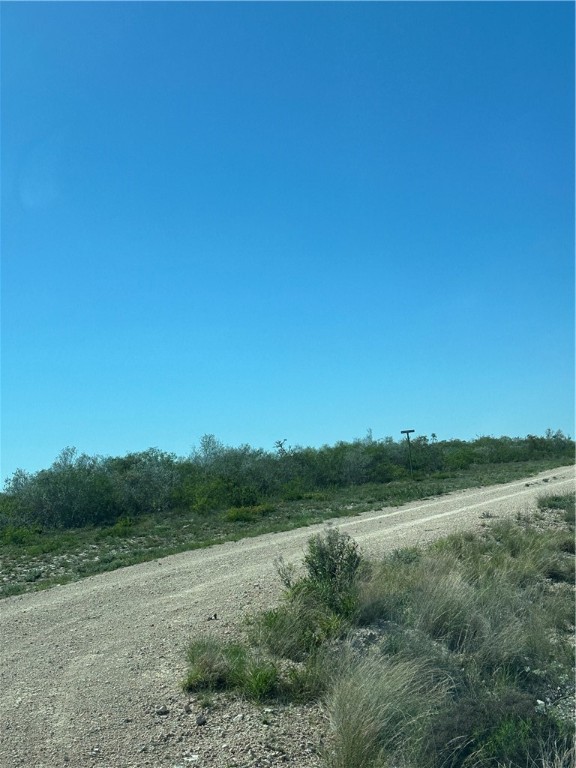 44 Ranch South Highway South San Diego, TX 78384 - Photo 8 of 10 a view of a field with trees in background