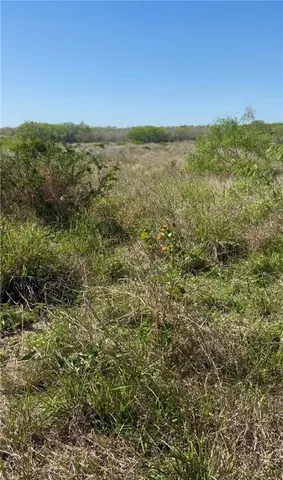 $65,000 | 44 Ranch South Highway South, San Diego, TX 78384