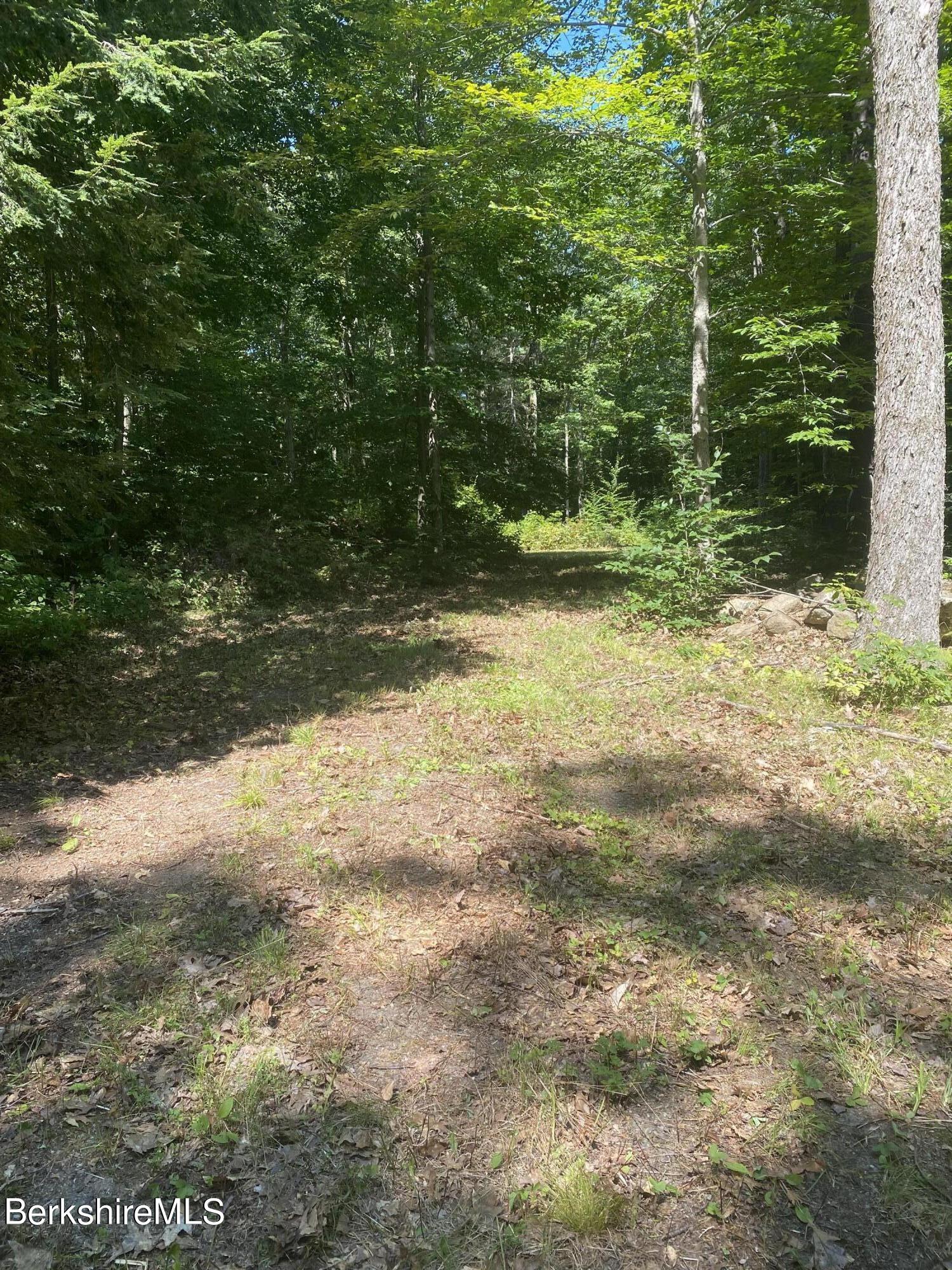 Lot 32 Mount Hunger Road Monterey, MA 01245 - Photo 1 of 7 PARTIALLY CLEARED