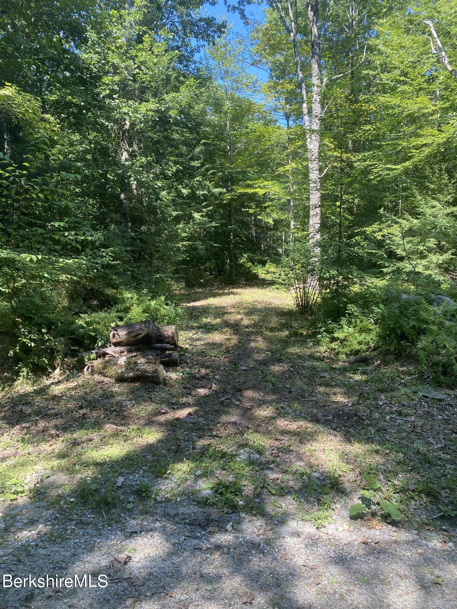 Lot 32 Mount Hunger Road Monterey, MA 01245 - Photo 3 of 7 STREET