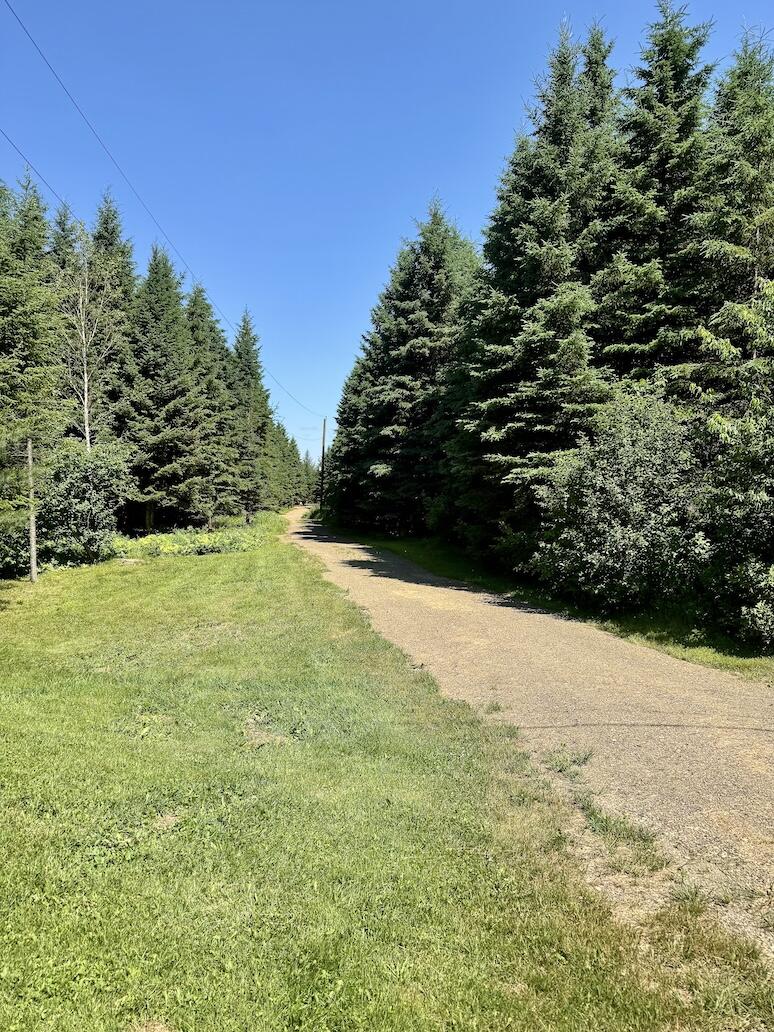 963 B Stratton Road Stratton, ME 04982 - Photo 6 of 13 Driveway from Street