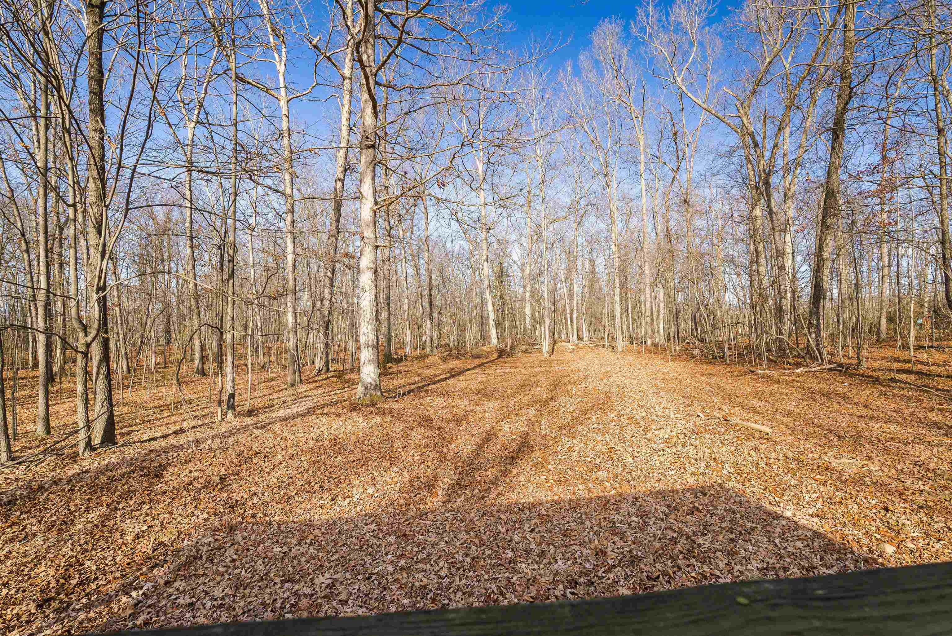 2851 Thoroughfare Road Elkton, VA 22827 - Photo 24 of 41 a view of wooden fence of a house