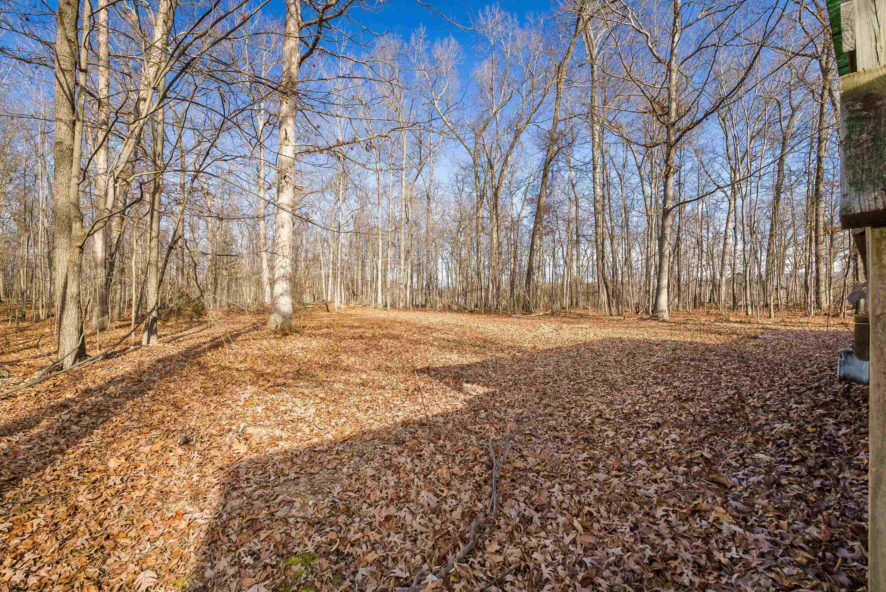 2851 Thoroughfare Road Elkton, VA 22827 - Photo 25 of 41 a view of empty space with large trees