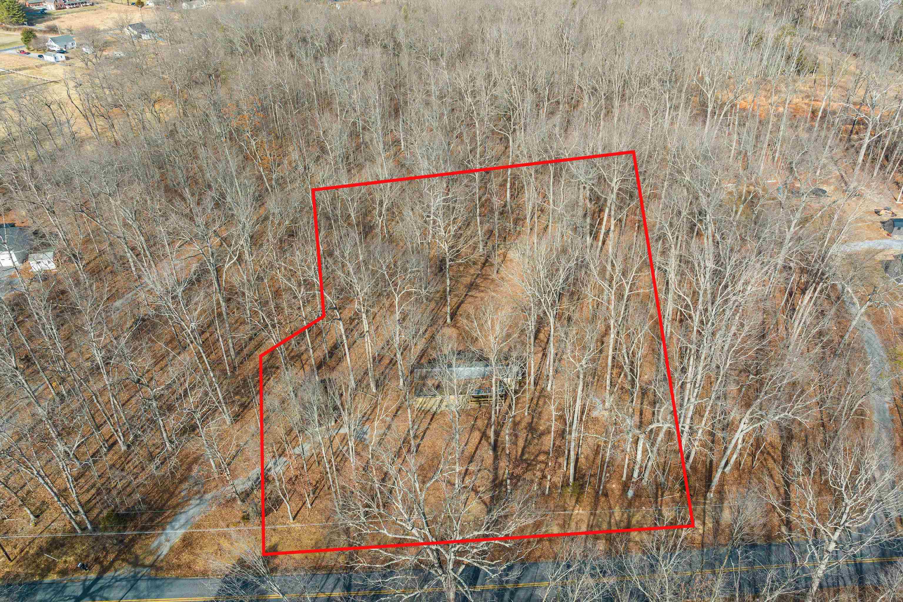 2851 Thoroughfare Road Elkton, VA 22827 - Photo 30 of 41 a close up of a plant with a dry plant