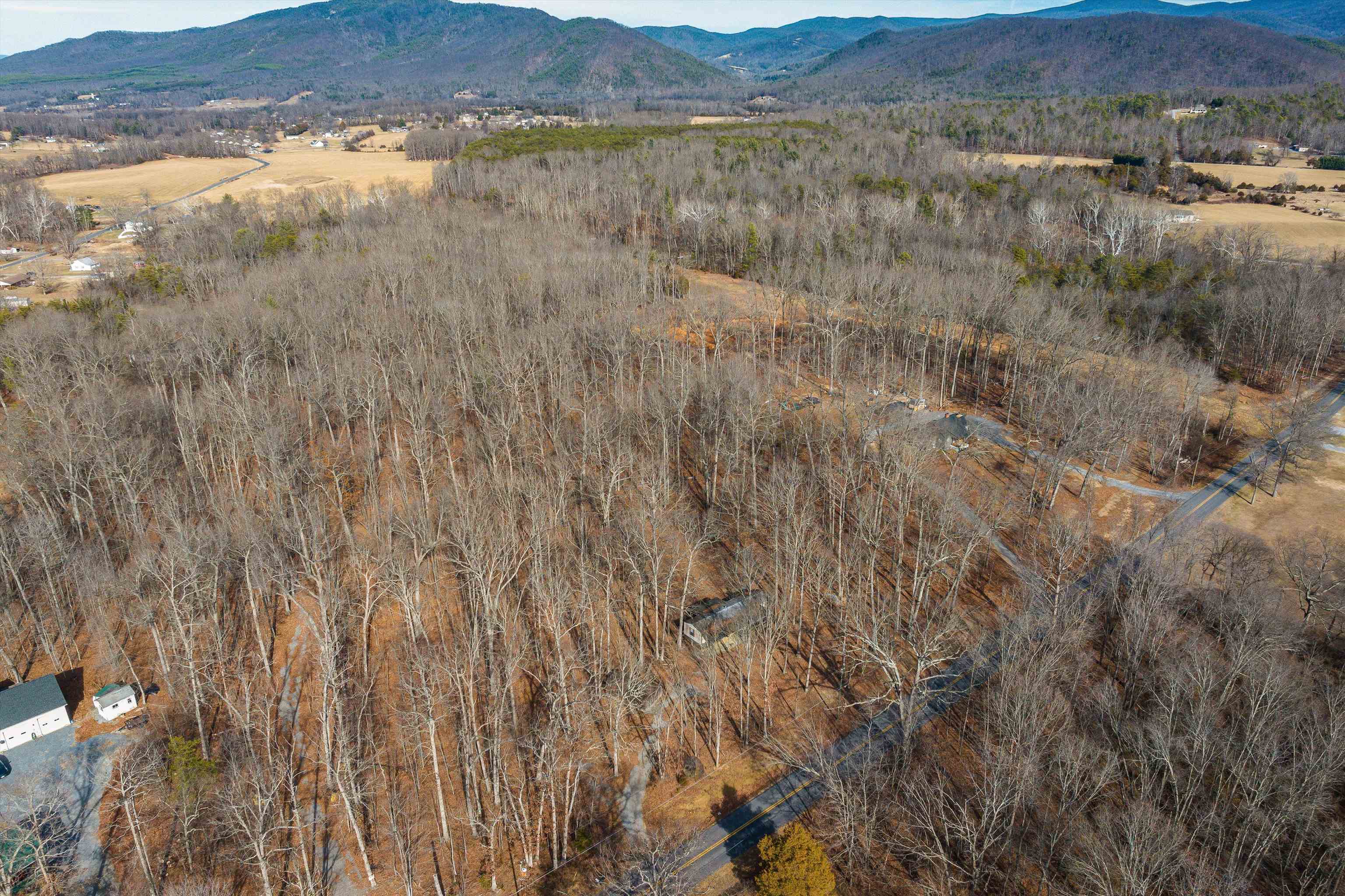 2851 Thoroughfare Road Elkton, VA 22827 - Photo 32 of 41 a view of a dry yard with trees and bushes