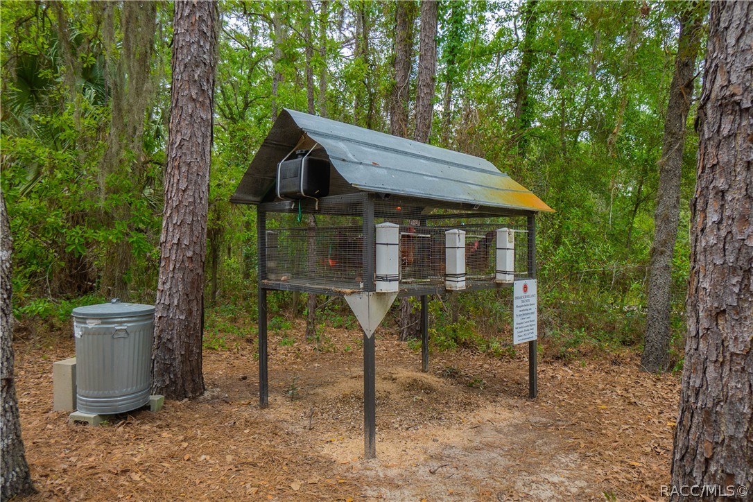 6479 West Candier Court Dunnellon, FL 34433 - Photo 57 of 71 County Sentinel Chicken Program-you get free eggs!