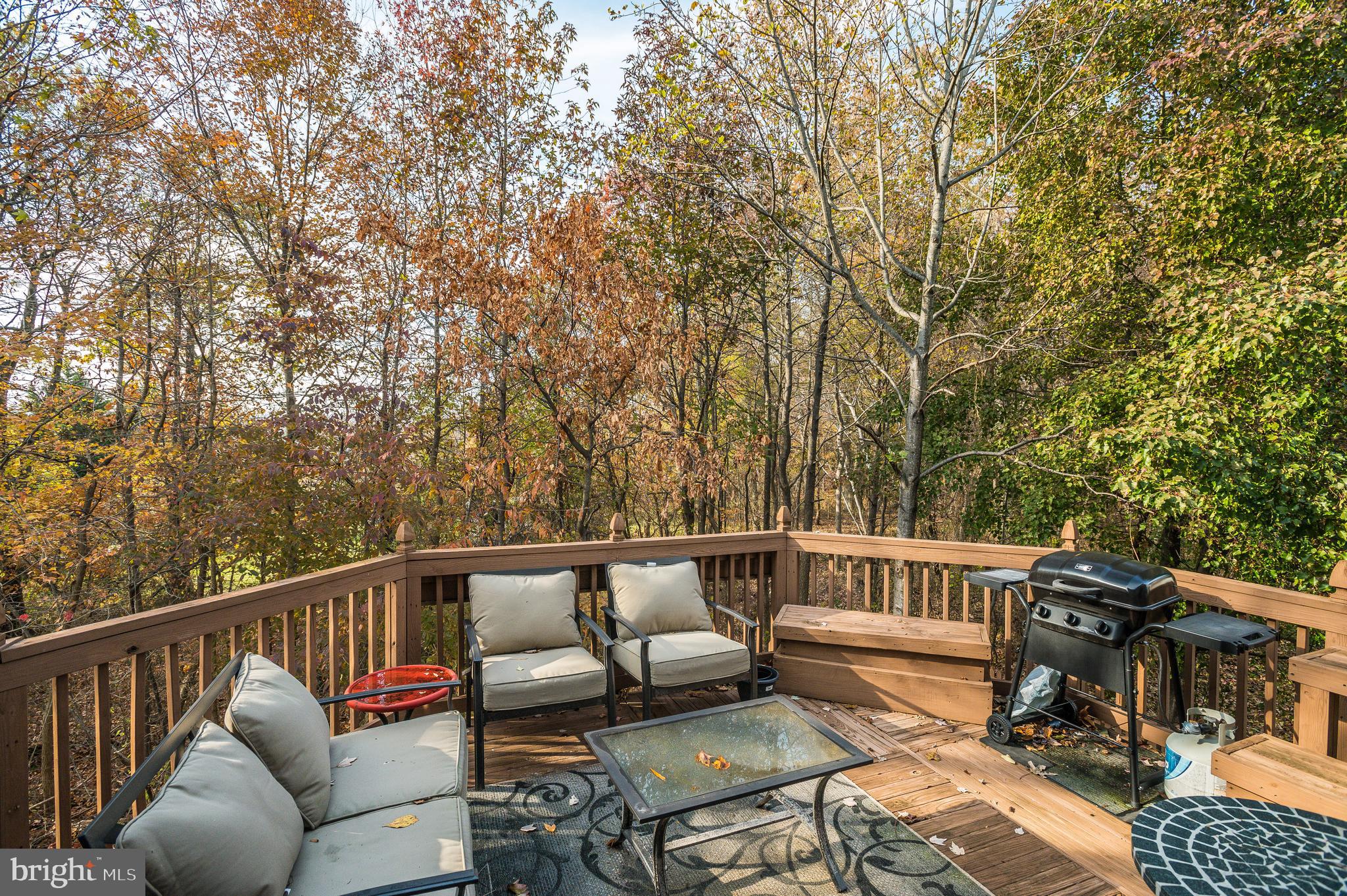 3306 Yellow Flower Road Laurel, MD 20724 - Photo 13 of 30 Main Level Deck off Kitchen