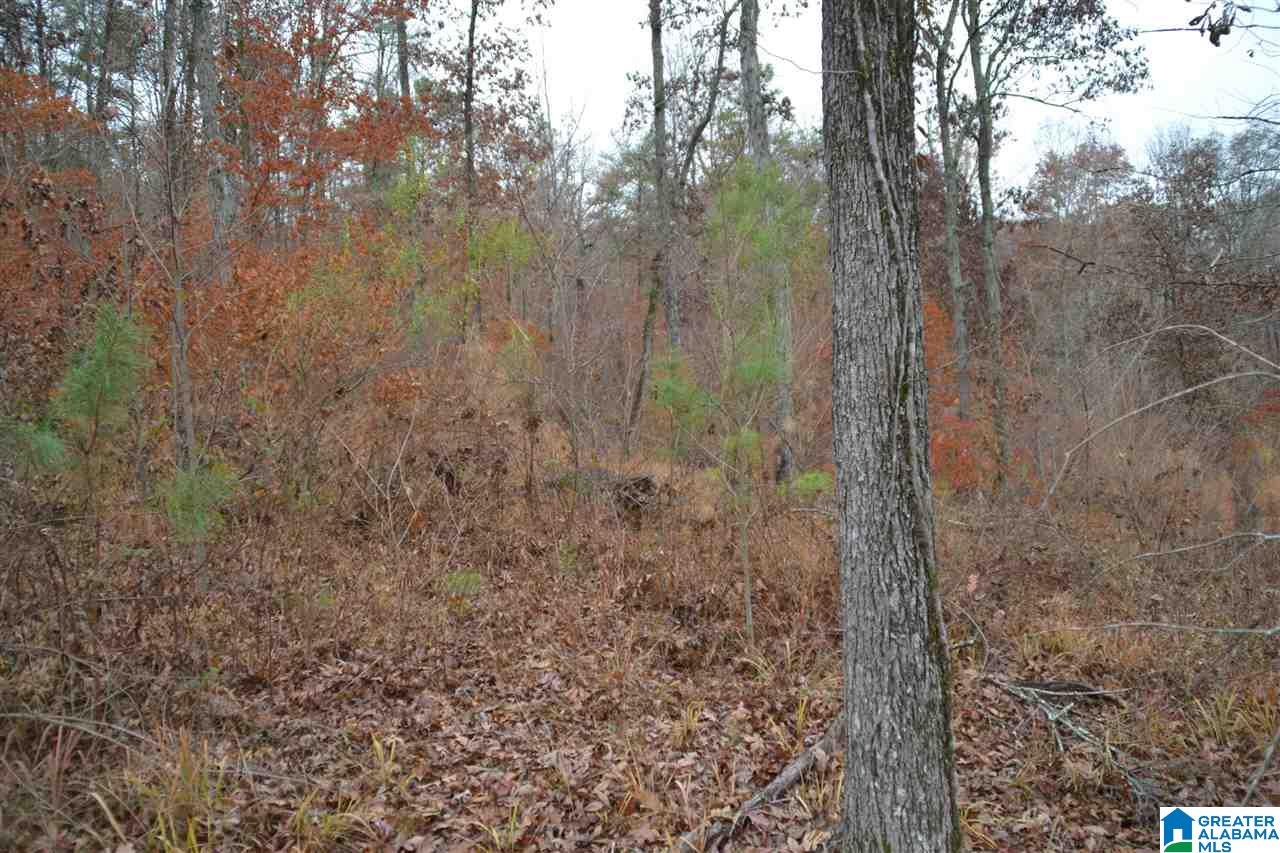 0 Philpot Road Hayden, AL 35079 - Photo 4 of 4