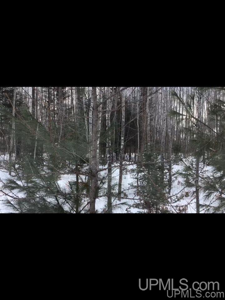 Tbd Swamp Road Powers, MI 49874 - Photo 18 of 30