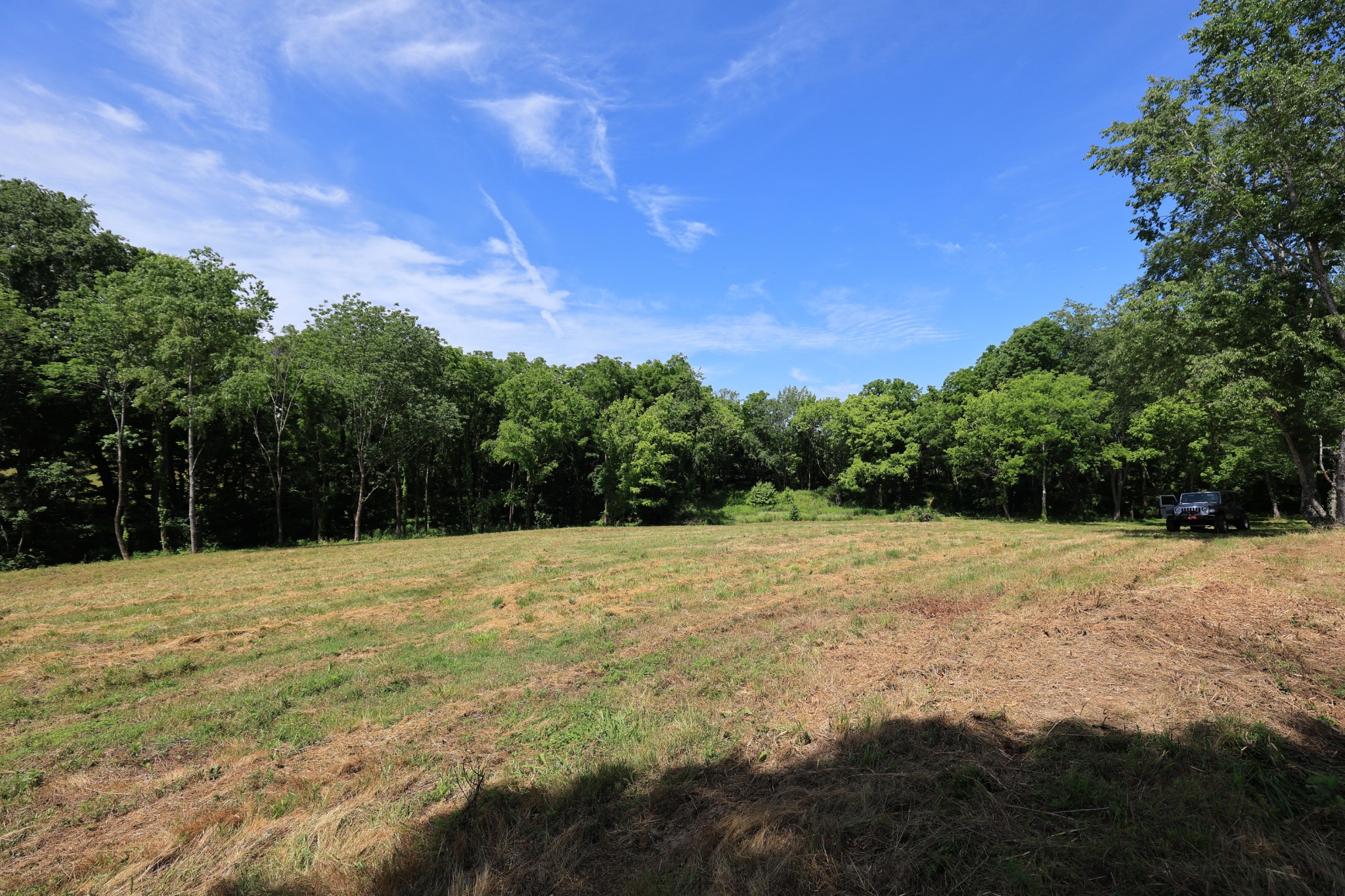 5 Poplar Ridge Lane Chapmansboro, TN 37035 - Photo 31 of 34 a view of outdoor space with mountain view