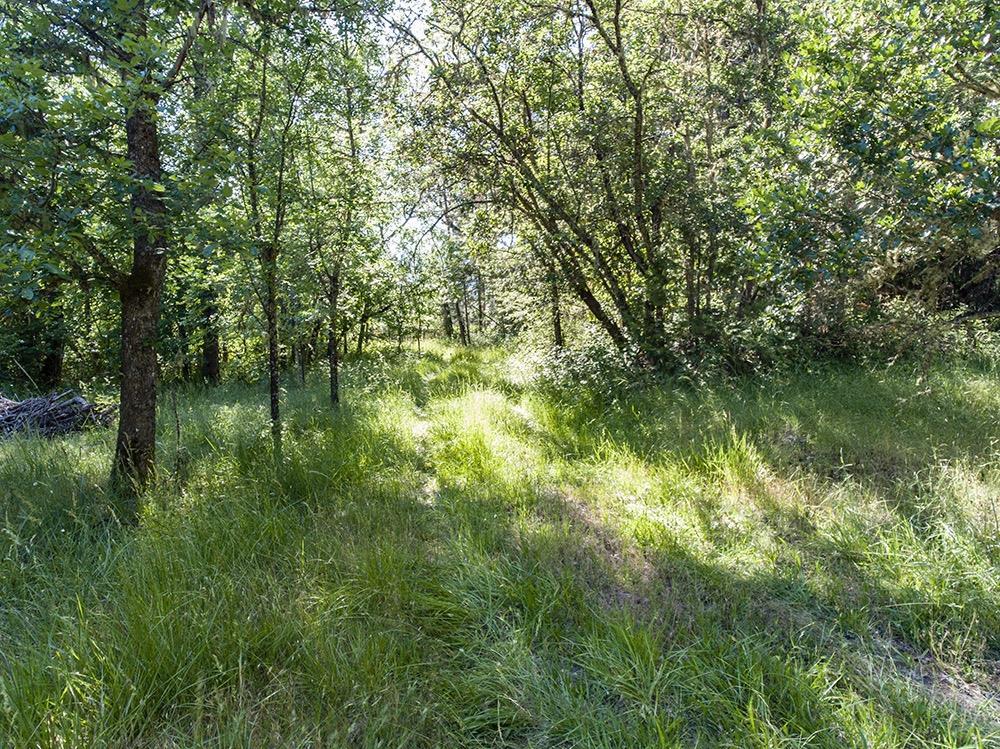 0 Cedar Flat Road Williams, OR 97544 - Photo 10 of 12 Additional Photo