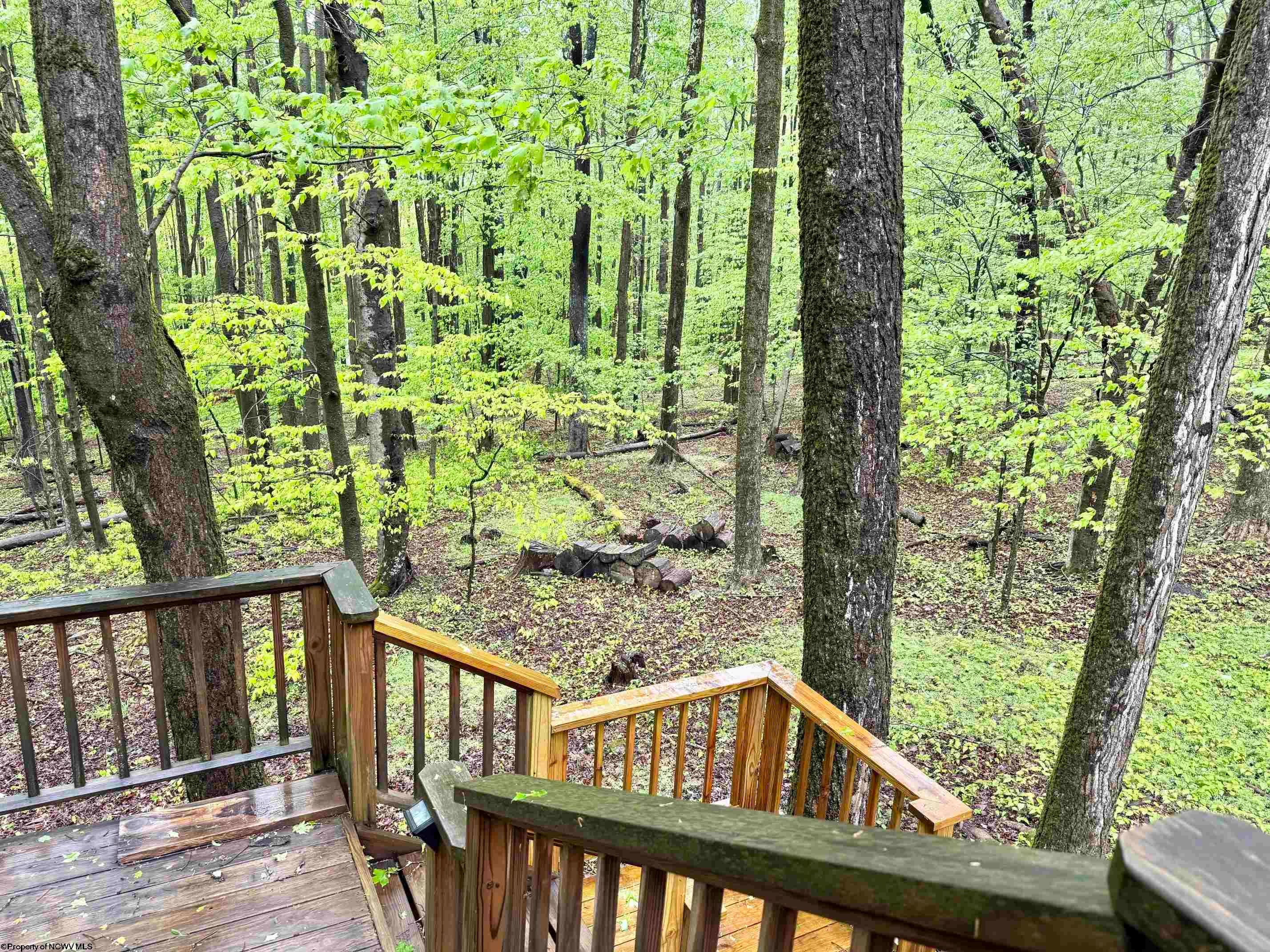 785 Ridge Road Davis, WV 26260 - Photo 28 of 31 Gallery Image 28