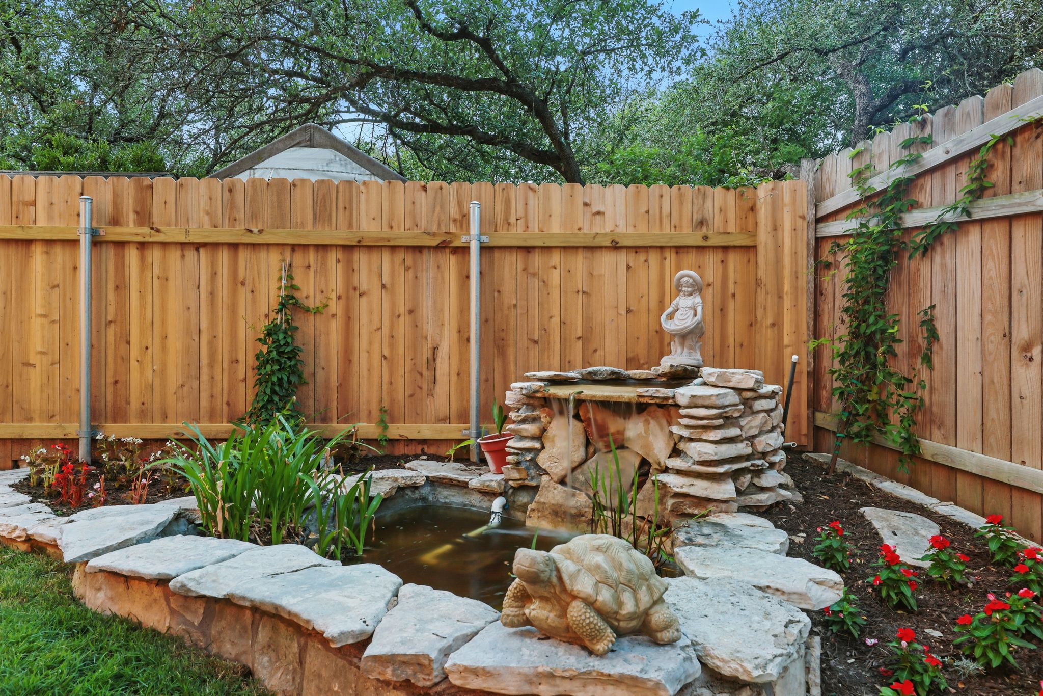 6905 Rudi Cove Austin, TX 78759 - Photo 36 of 36 View of yard