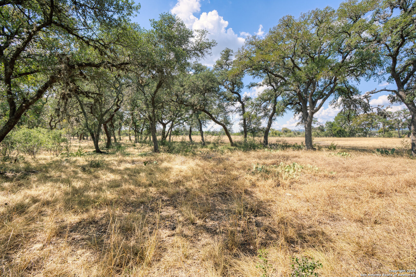 261 Watering Hole Trail Bandera, TX 78003 - Photo 11 of 24 a view of outdoor space with trees