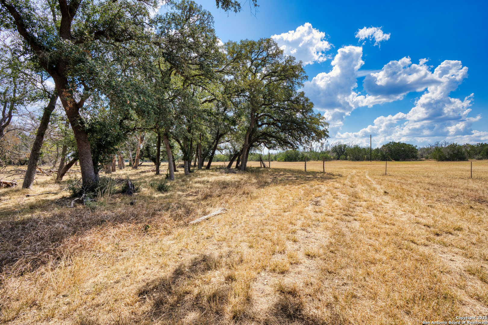 261 Watering Hole Trail Bandera, TX 78003 - Photo 14 of 24 a view of outdoor space with trees