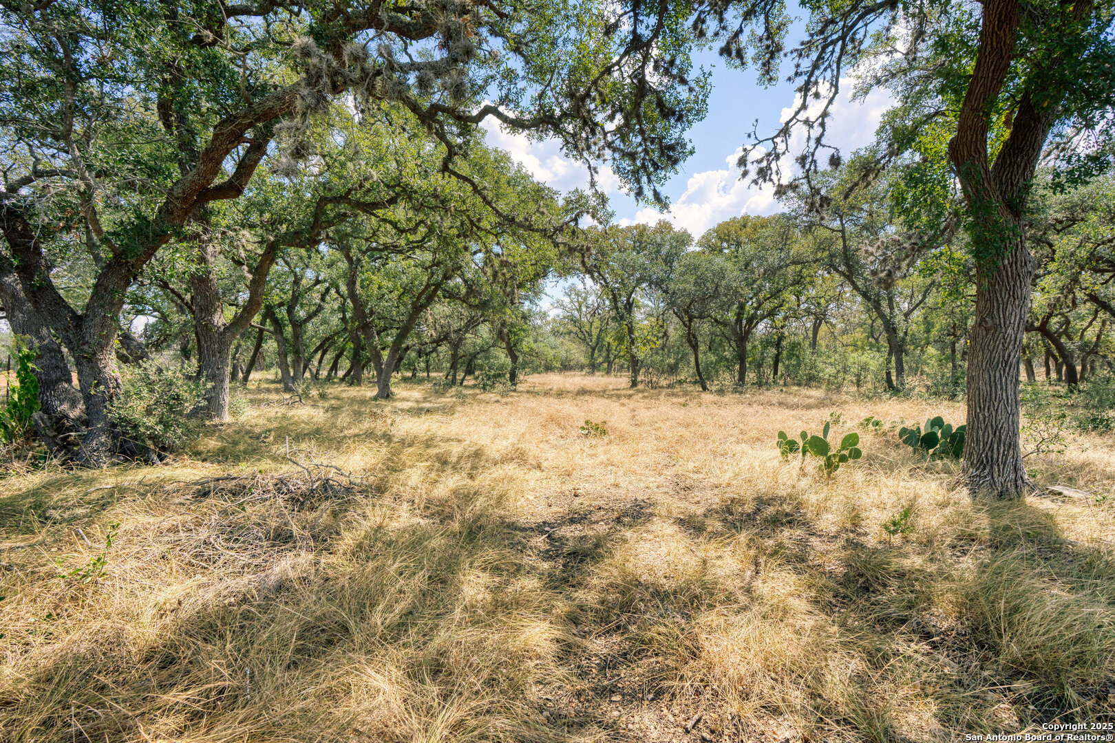 261 Watering Hole Trail Bandera, TX 78003 - Photo 9 of 24 a view of yard covered with snow