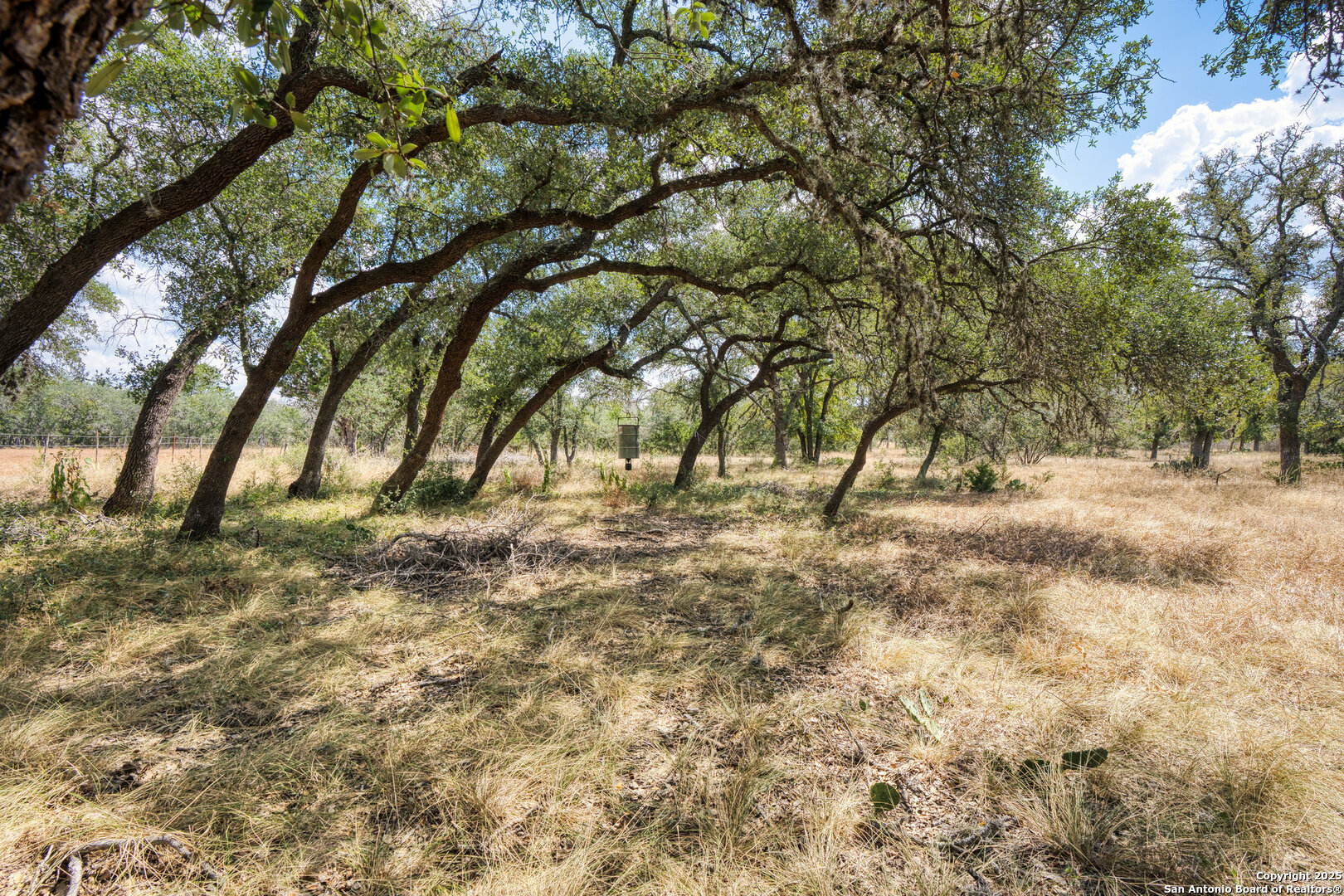 261 Watering Hole Trail Bandera, TX 78003 - Photo 10 of 24 a view of outdoor space with trees