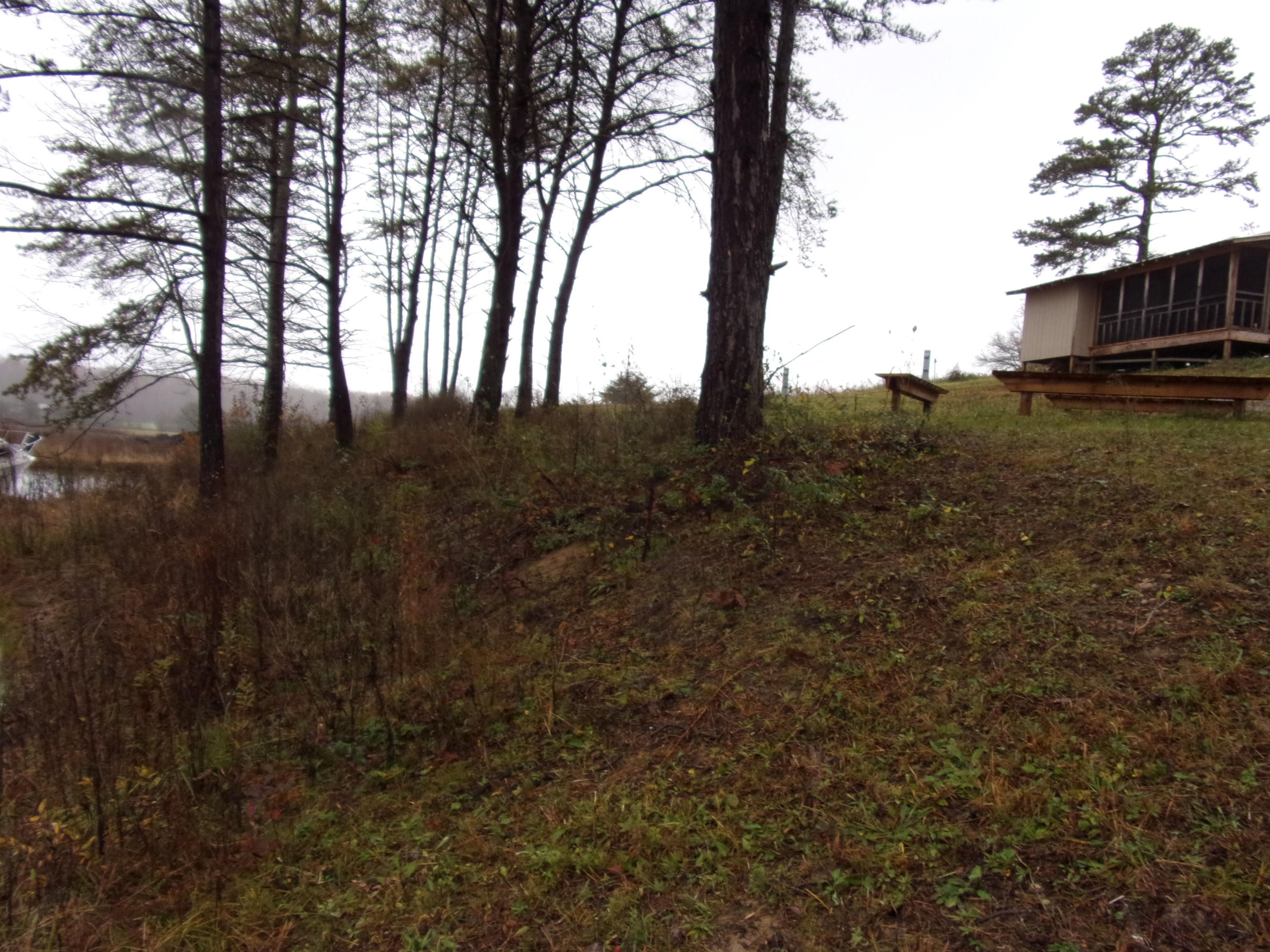 1220 Big Spring Gap Road Pikeville, TN 37367 - Photo 16 of 30 101_1841