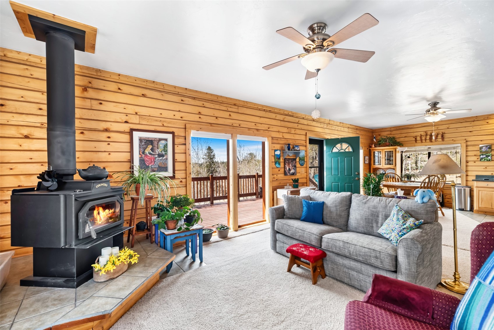 360 Musket Lane Como, CO 80456 - Photo 2 of 46