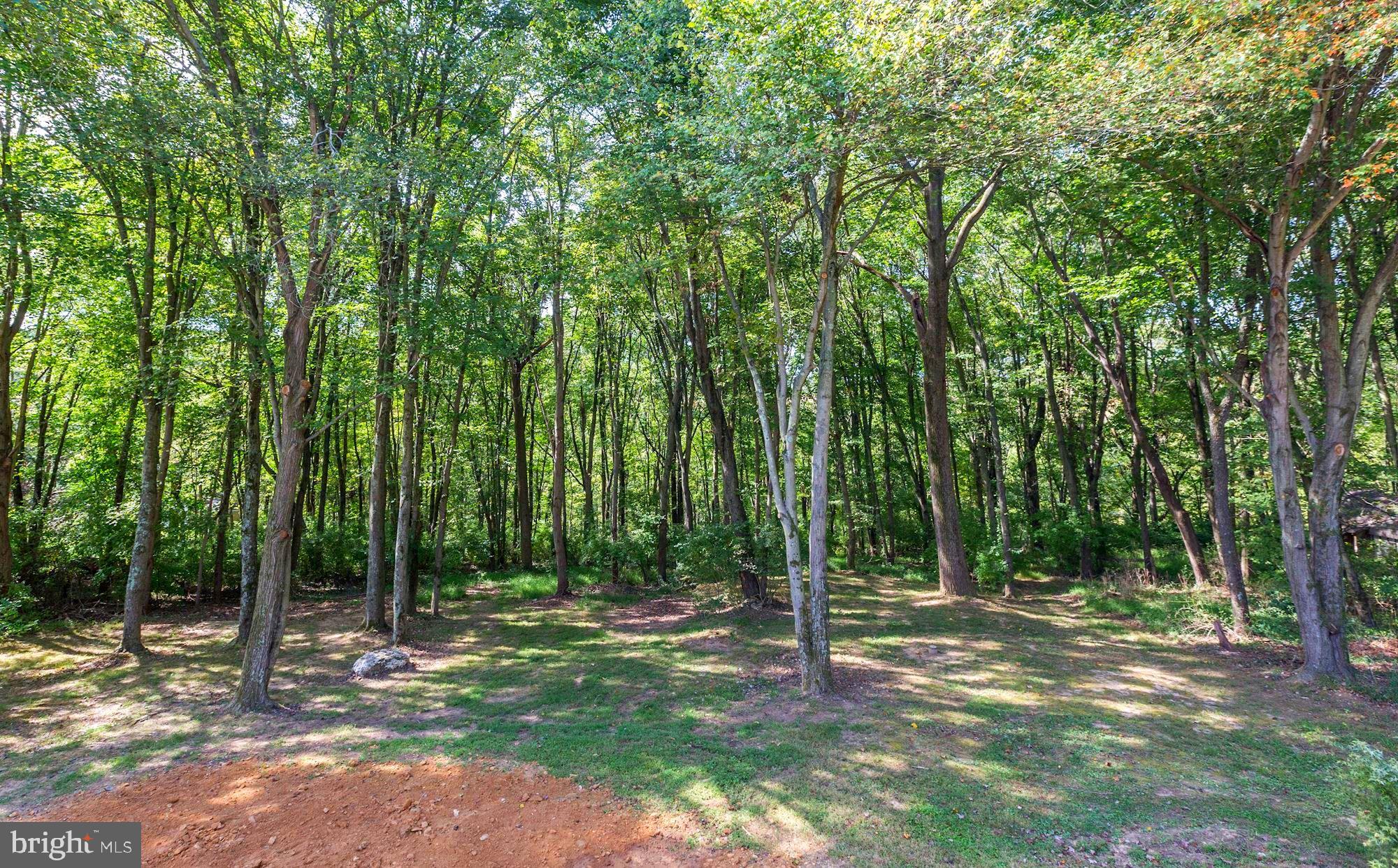 1712 Lauterbach Road Finksburg, MD 21048 - Photo 36 of 44 plenty of trees to place the hammocks