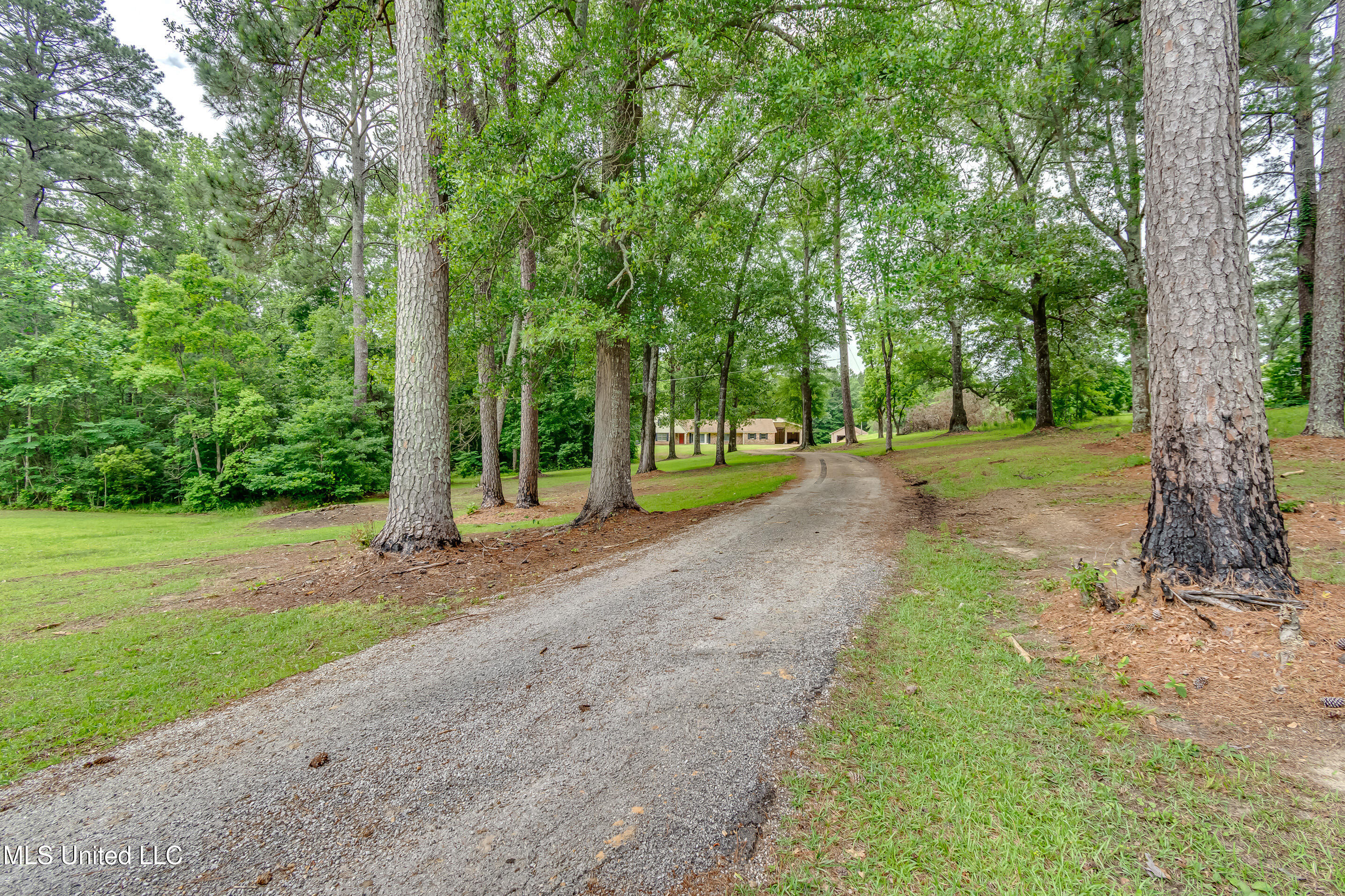 1597 Old Lake Road Brandon, MS 39042 - Photo 2 of 50 1597 Old Lake Rd-87