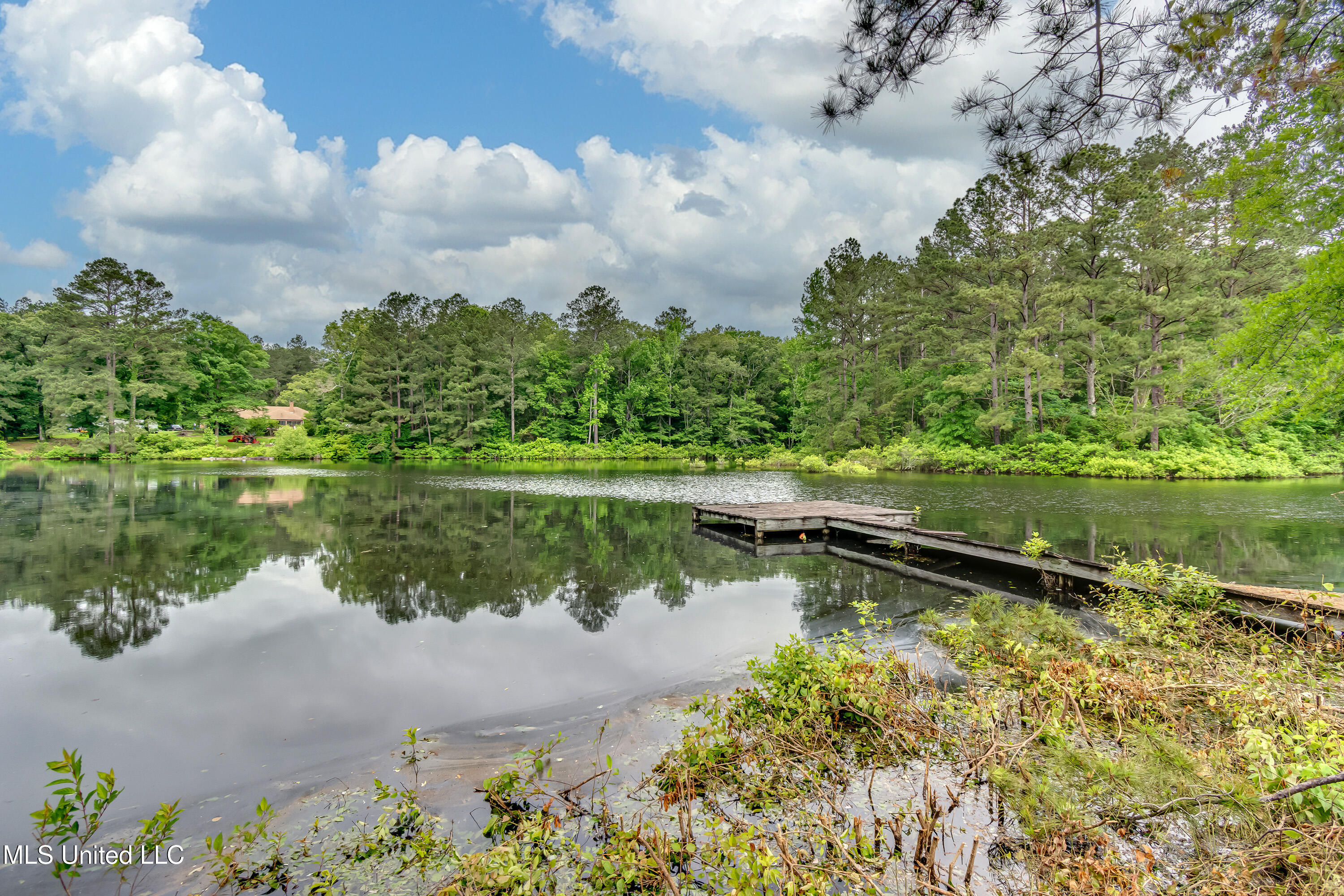 1597 Old Lake Road Brandon, MS 39042 - Photo 4 of 50 1597 Old Lake Rd-4