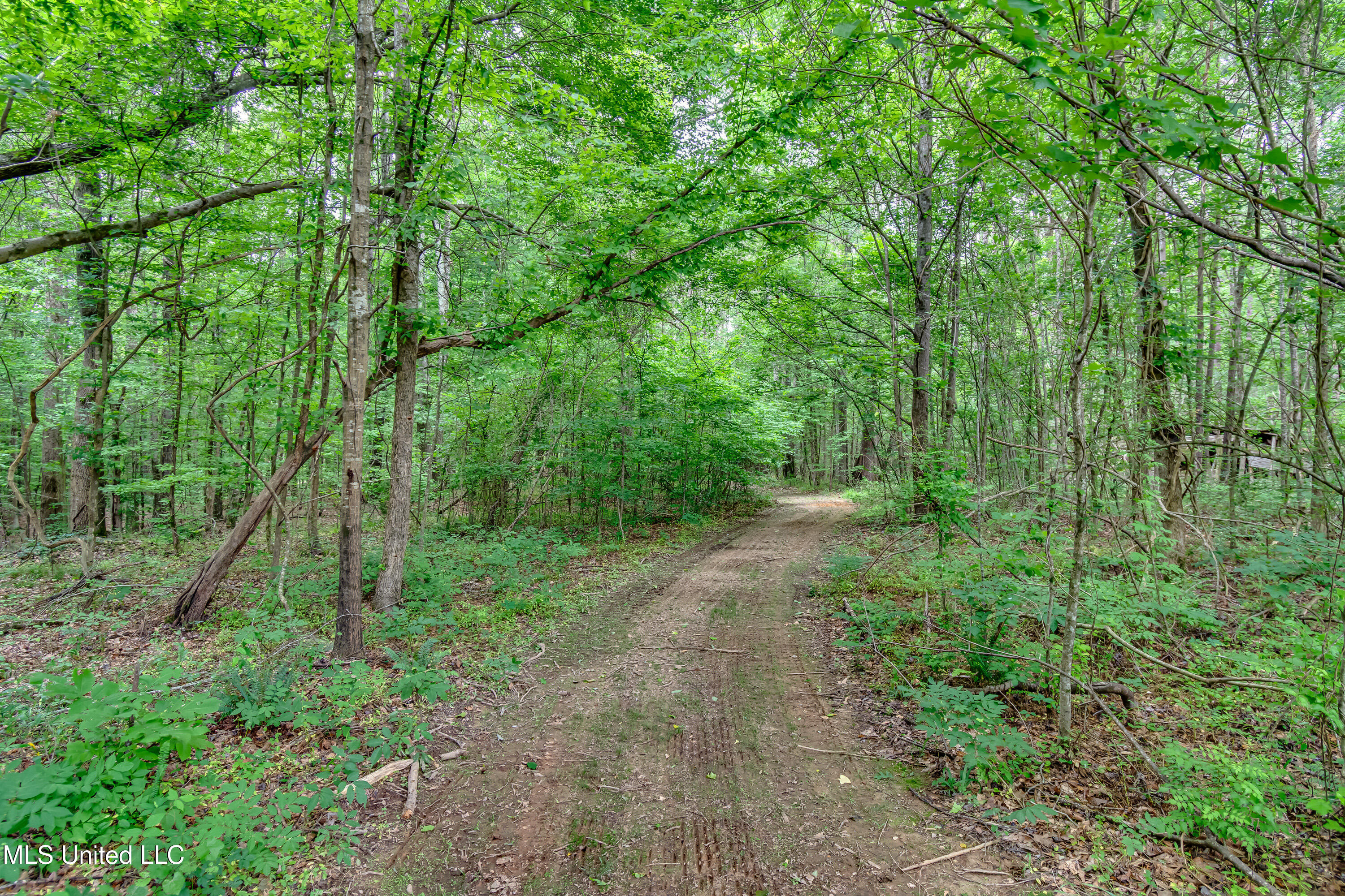 1597 Old Lake Road Brandon, MS 39042 - Photo 5 of 50 1597 Old Lake Rd-1