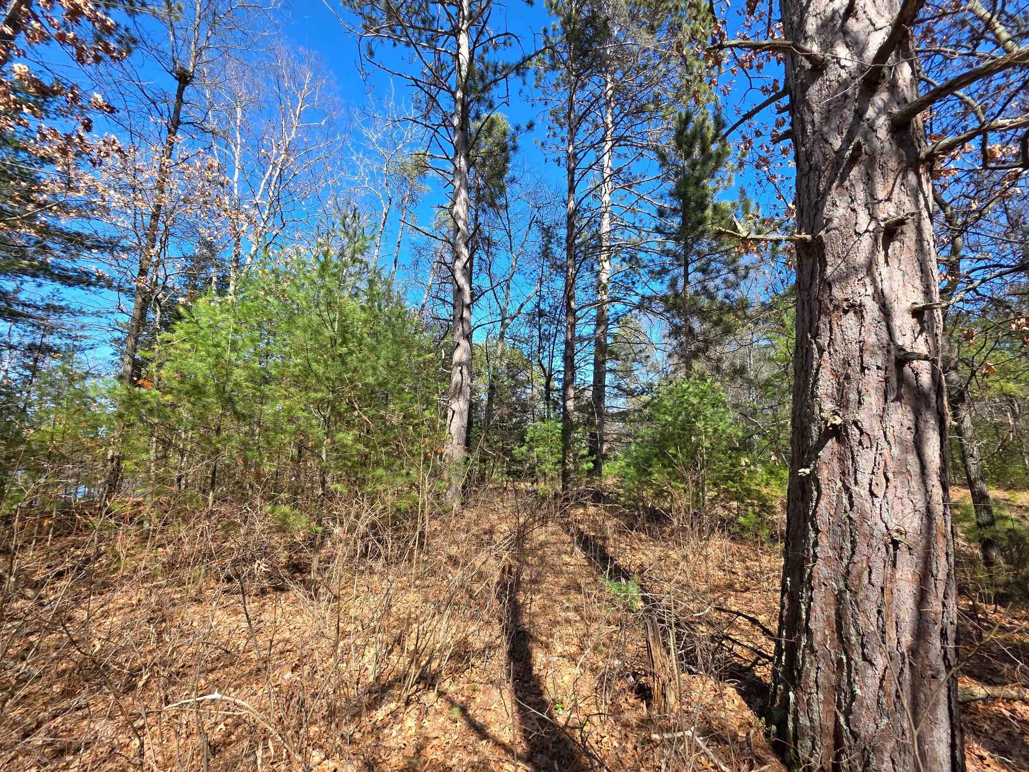 10023 Point O Pines Road Tomahawk, WI 54487 - Photo 12 of 25 Gallery Image 12
