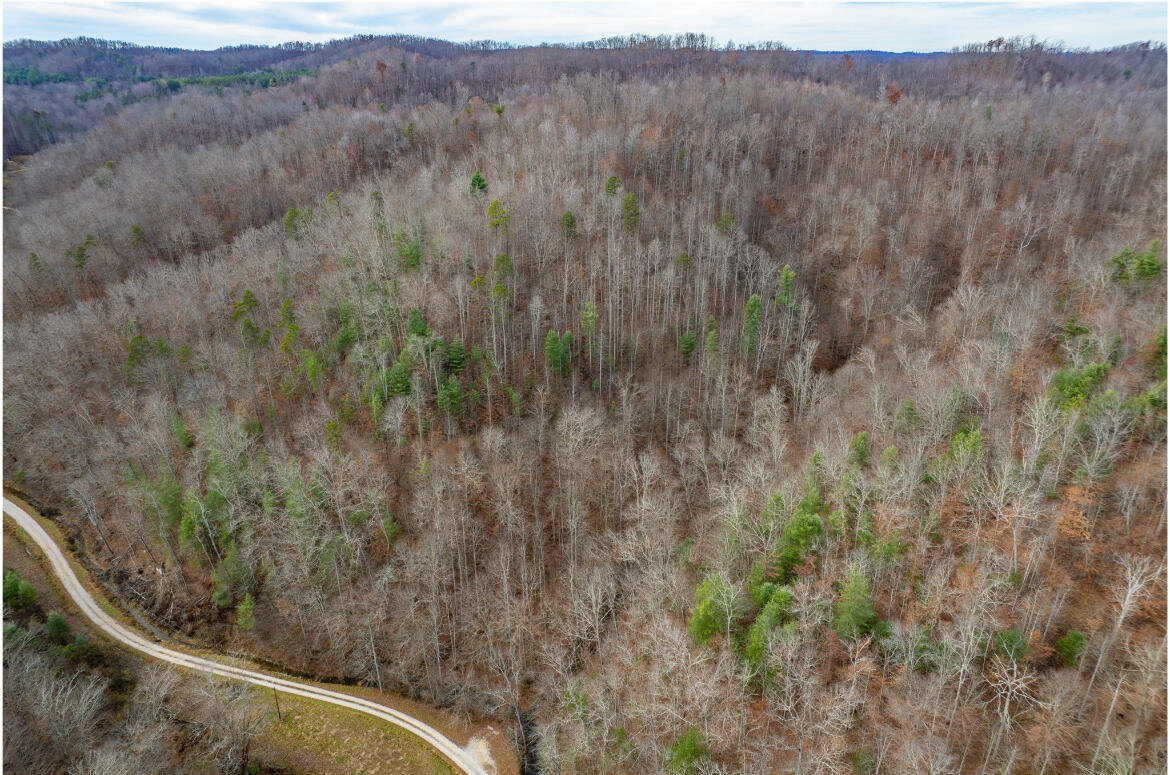 9999 Stable Branch Road Salyersville, KY 41465 - Photo 10 of 20 IMG_8990