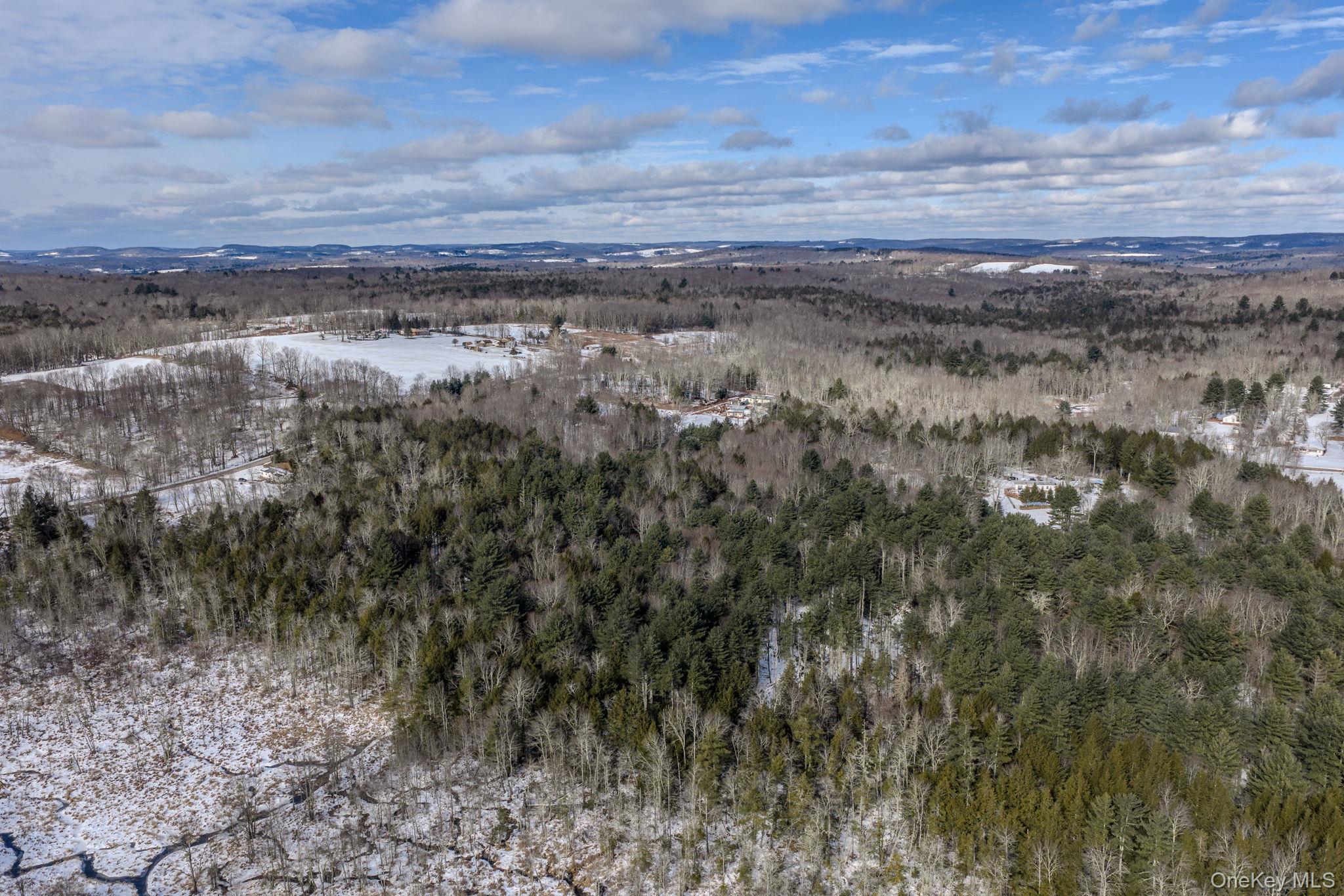 Soule Road Bethel, NY 12720 - Photo 11 of 13 Aerial view of property and surrounding area featuring a heavily wooded area