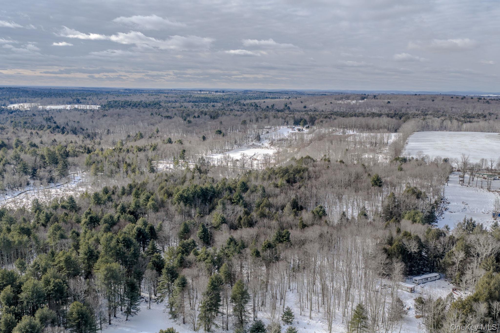 Soule Road Bethel, NY 12720 - Photo 12 of 13 Snowy aerial view with a wooded view