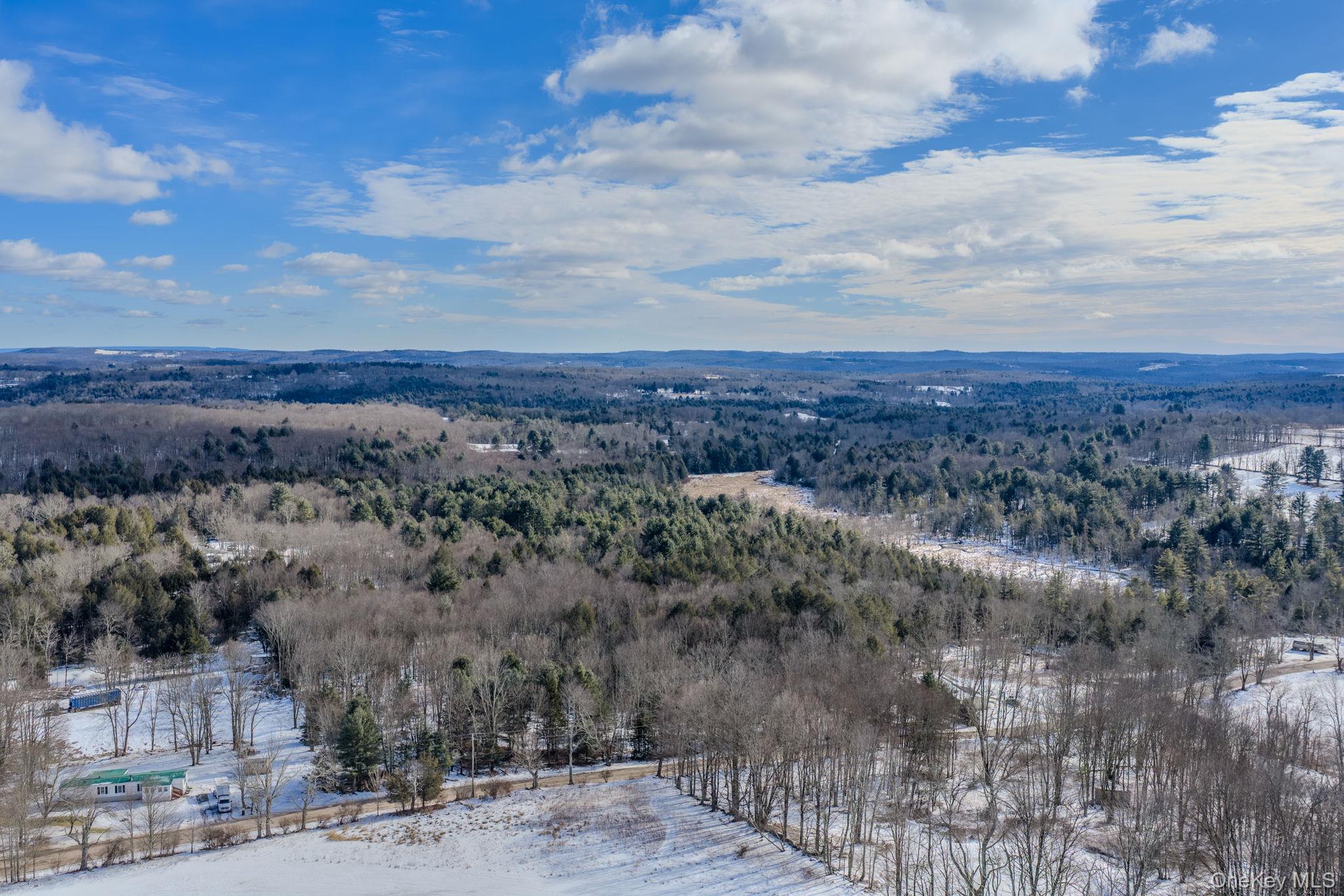Soule Road Bethel, NY 12720 - Photo 13 of 13 Snowy aerial view