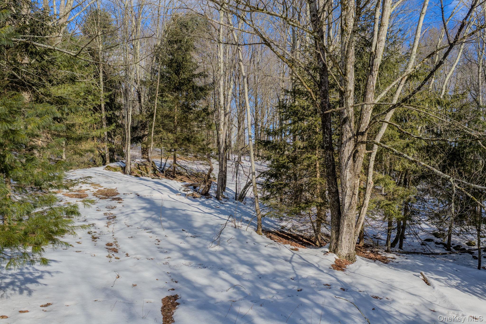 Soule Road Bethel, NY 12720 - Photo 3 of 13 View of yard layered in snow