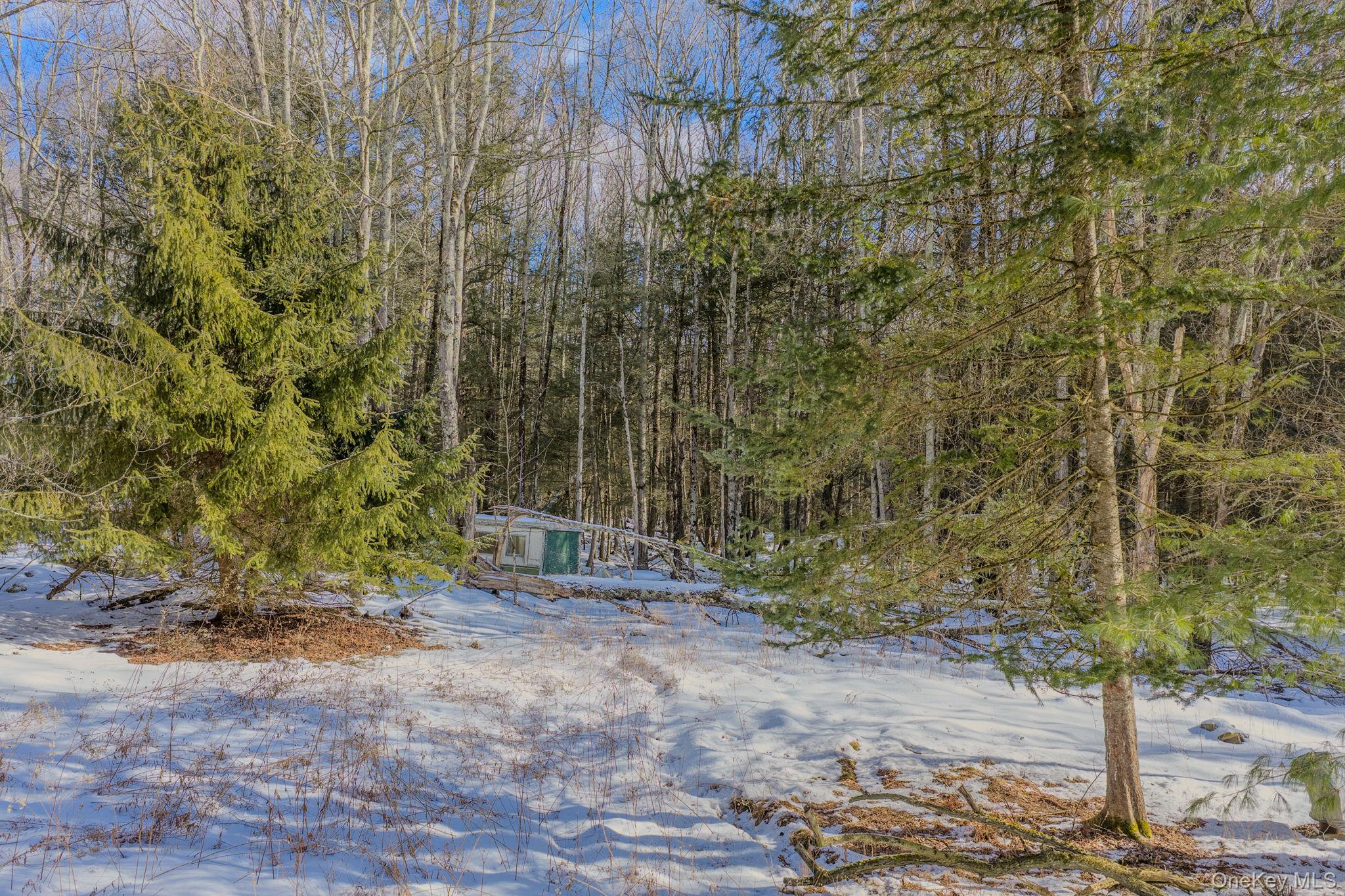 Soule Road Bethel, NY 12720 - Photo 4 of 13 View of snowy yard