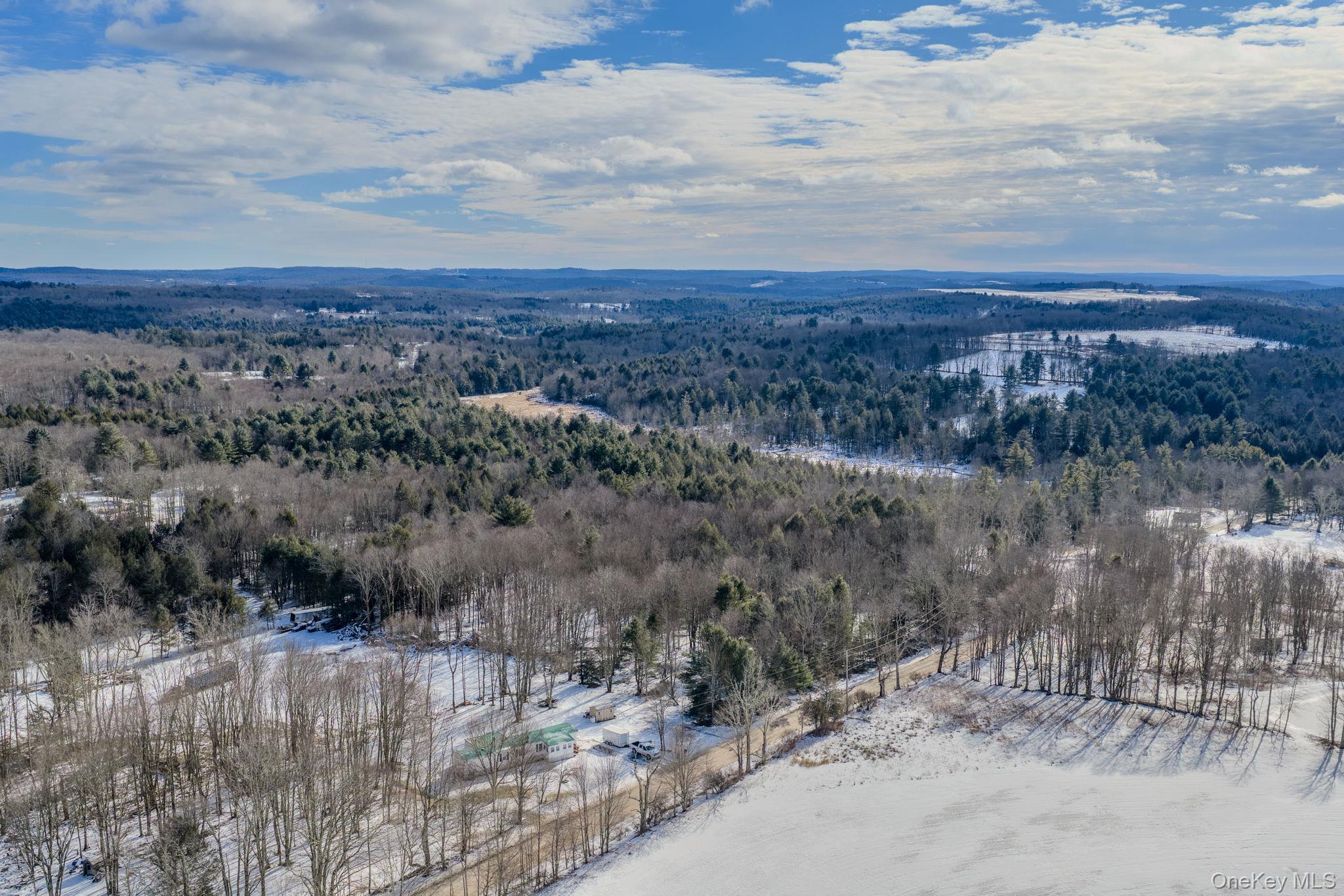 Soule Road Bethel, NY 12720 - Photo 5 of 13 Aerial overview of property's location with trees