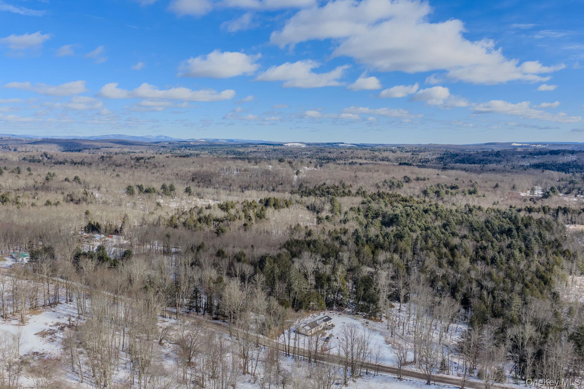 Soule Road Bethel, NY 12720 - Photo 7 of 13 Snowy aerial view featuring a wooded view