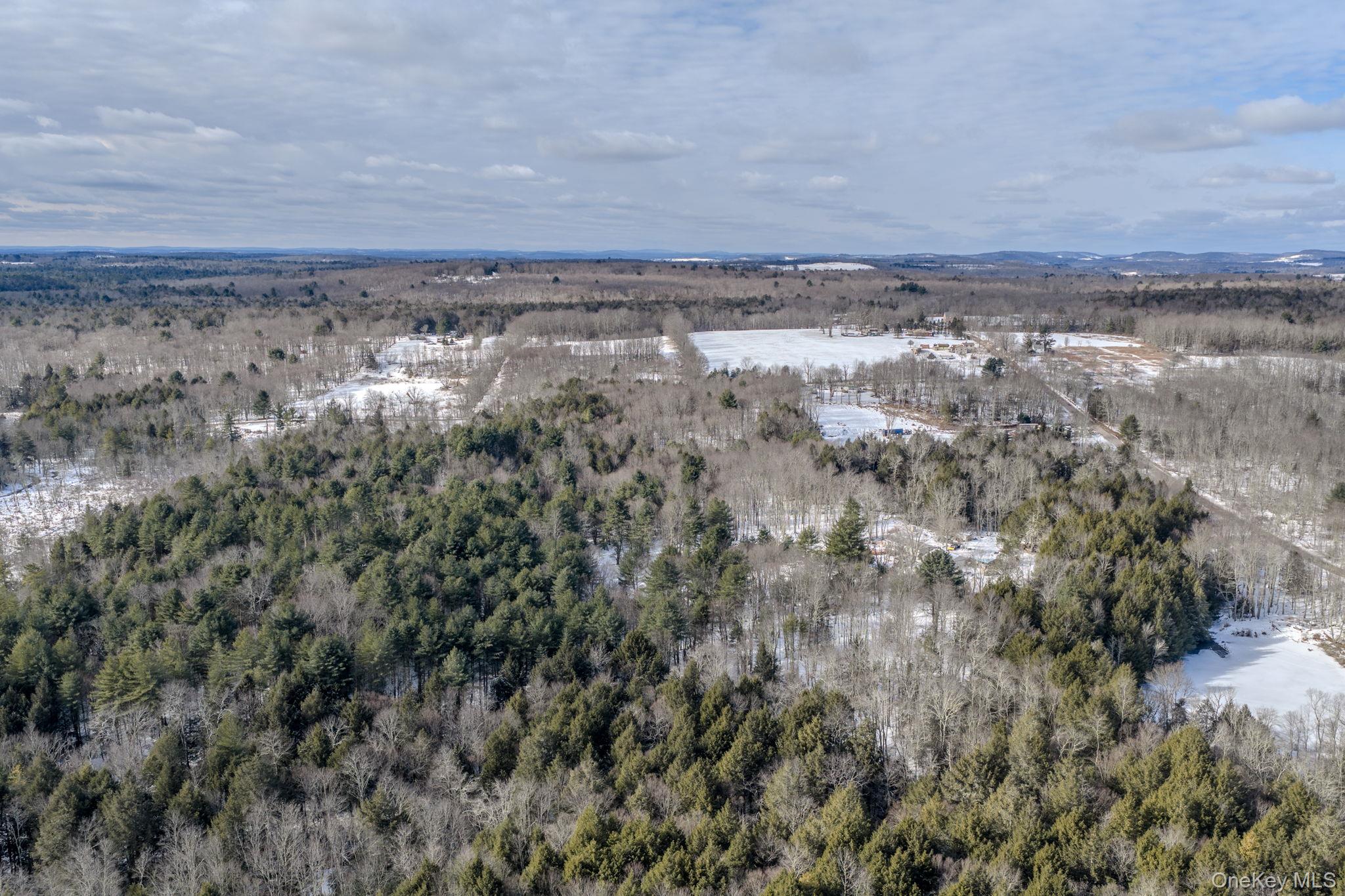 Soule Road Bethel, NY 12720 - Photo 9 of 13 Aerial overview of property's location with trees