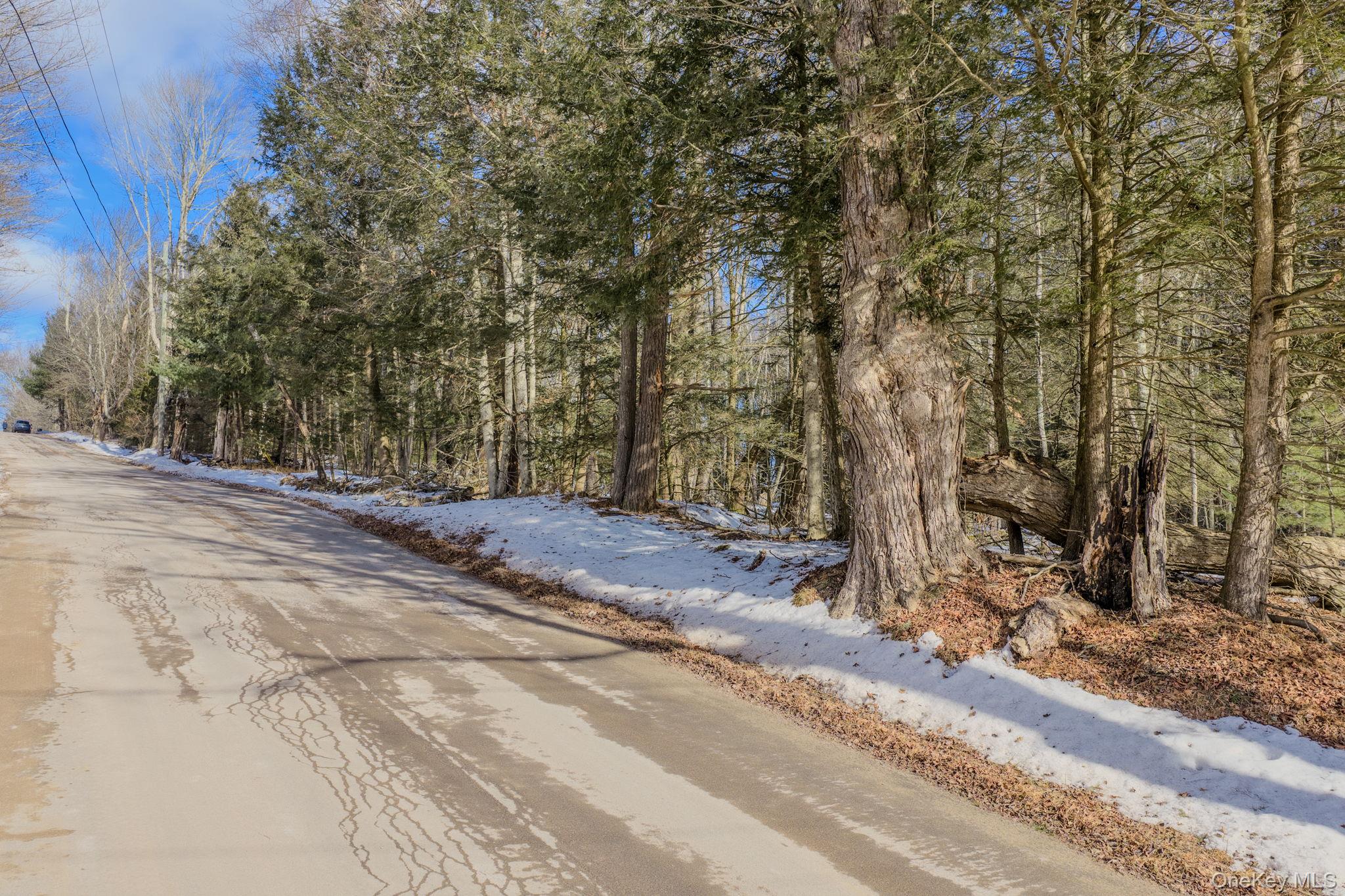 Soule Road Bethel, NY 12720 - Photo 10 of 13 View of paved road front