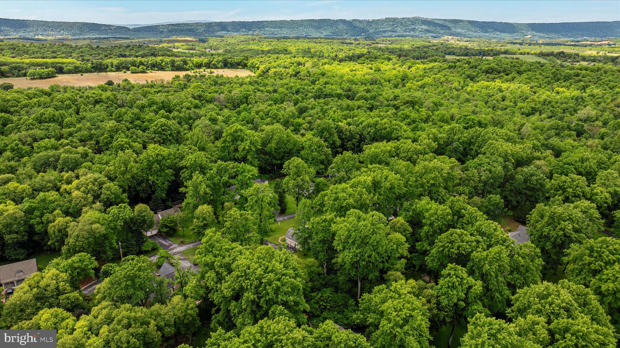 220 Minnick Road Inwood, WV 25428 - Photo 61 of 72 DJI_0130_220 Minnick Rd - Absolute Altitude - 5 -